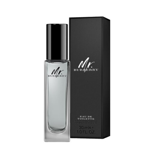 BURBERRY - MR BURBERRY EDT 30ML (NO TESTER)