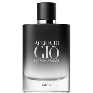 GIORGIO ARMANI - ACQUA DI GIO PARFUM 100ML