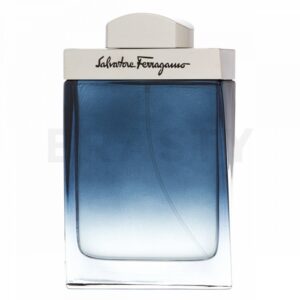 Alternative view of SALVATORE FERRAGAMO - SUBTIL POUR HOMME EDT 100ML