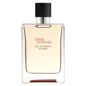 HERMES - TERRE D'HERMES EDP INTENSE 100ML