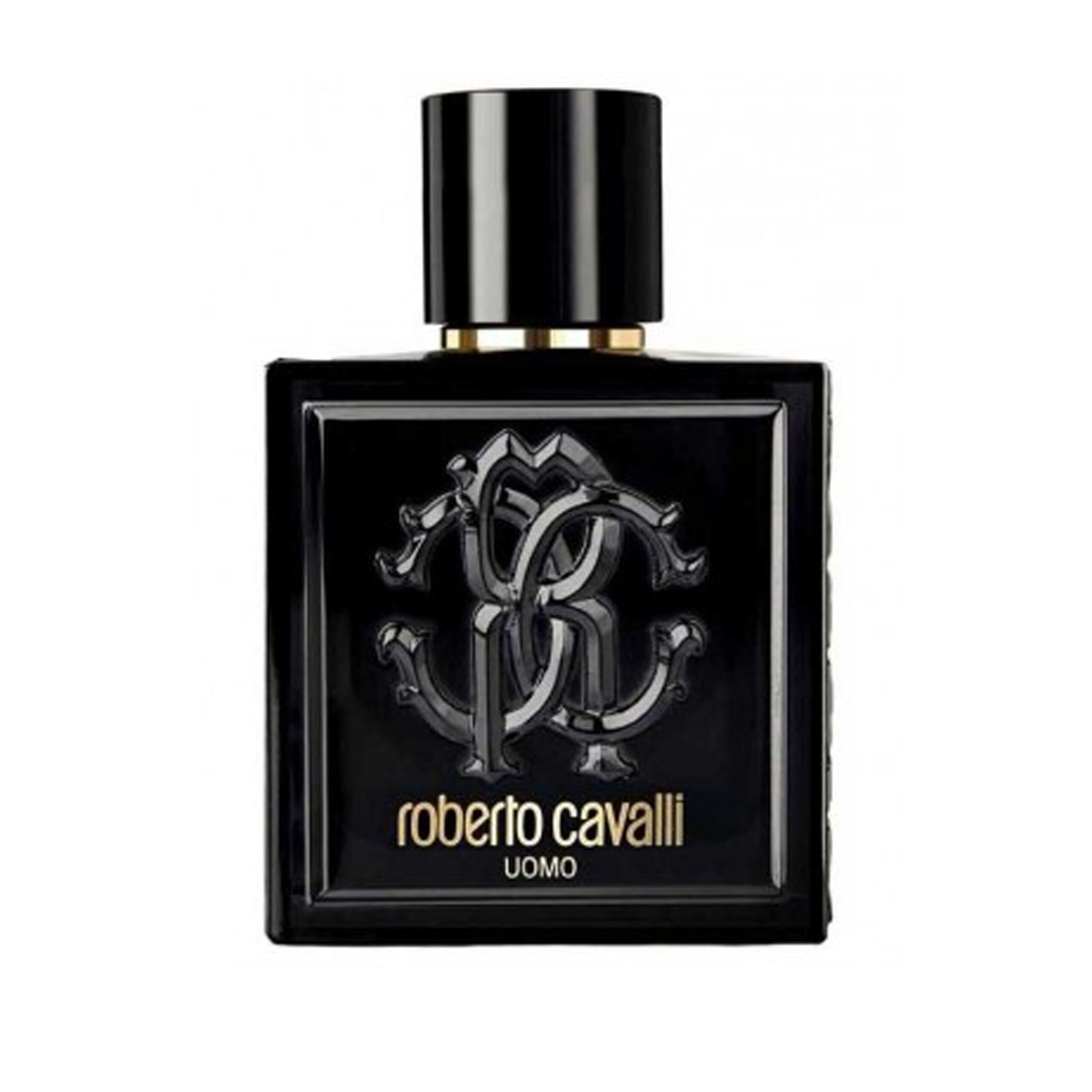 ROBERTO CAVALLI - UOMO EDT 100 ML