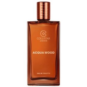 ACQUA WOOD EDT 100 ML