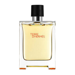 HERMES - TERRE D'HERMES INTENSE VETIVER EDP 100 ML