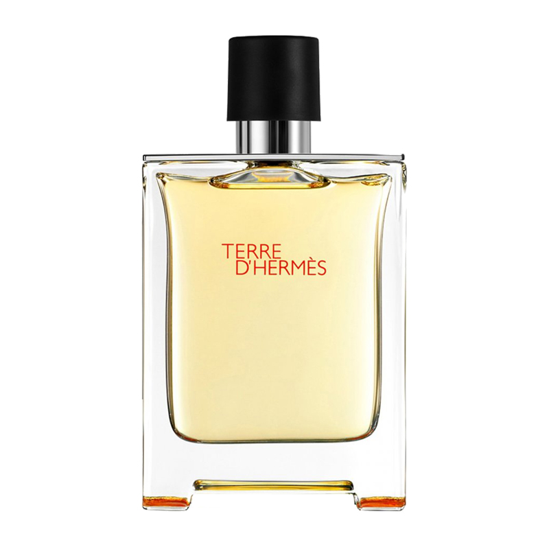 HERMES - TERRE D'HERMES INTENSE VETIVER EDP 100 ML