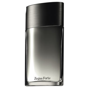ERMENEGILDO ZEGNA - FORTE EDT 100 ML