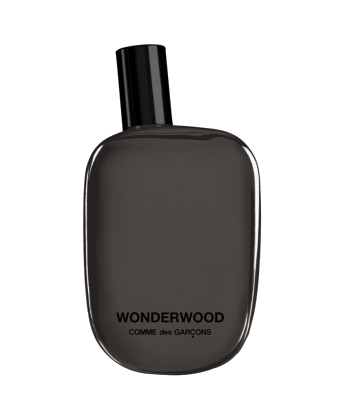 COMME DES GARCONS - WONDERWOOD EDP 100 ML