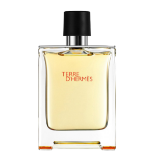 HERMES - TERRE HERMES EDT 100 ML